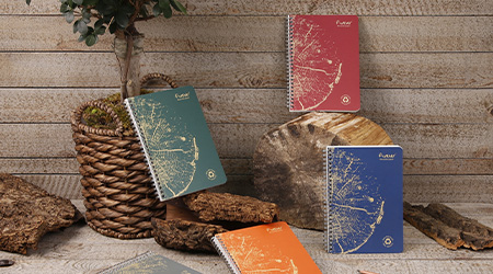 Notizbücher mit bunten Einbänden und Löwenzahnmotiven sind auf und um Holzstämme herum angeordnet. Links steht eine kleine Topfpflanze, im Hintergrund sind Holzbretter zu sehen. Es handelt sich um die Recycling-Kollektion Forever von Clairefontaine.