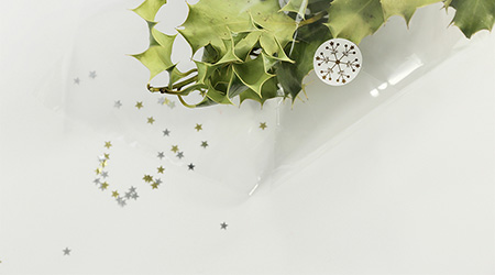 Transparente Geschenkfolie von Clairefontaine um Sträucher gewickelt. Mit Glitzersternen bestreut.