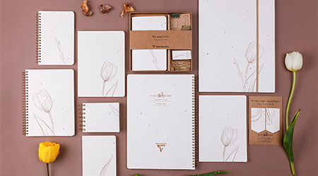 Eine Sammlung von Notizbüchern und Briefpapier mit Blumenillustrationen auf einer braunen Oberfläche. Auf beiden Seiten befinden sich zwei Tulpen, eine gelbe und eine weiße. Die Artikel variieren in Größe und Design und haben eine natürliche, erdige Ästhetik. Es handelt sich um die Kollektion Tulip paper von Clairefontaine.